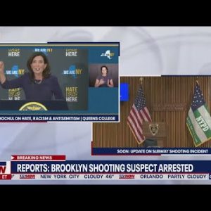 New York subway attack suspect arrested: New details | LiveNOW from FOX