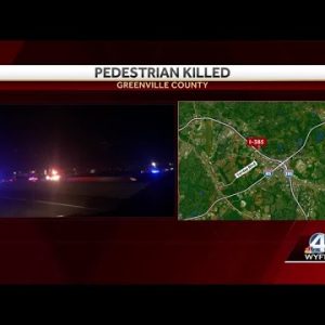 Pedestrian hit and killed along Upstate interstate