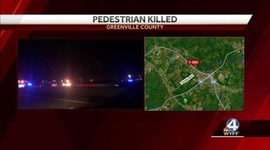 Pedestrian hit and killed along Upstate interstate