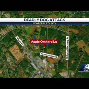 South Carolina woman dies after being attacked by her dog, coroner says