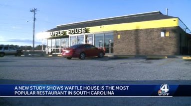 What are the top 5 most popular chain restaurants in South Carolina?
