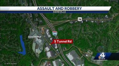 Pepper-spraying purse thieves: Two men wanted for incident in Asheville, police say
