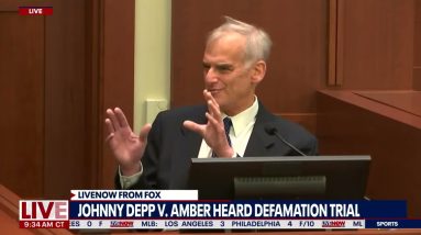 Amber Heard expert: Johnny Depp perpetrator of intimate partner violence | LiveNOW from FOX