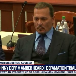 Johnny Depp not portrayed negatively before Heard allegations, expert testifies | LiveNOW from FOX