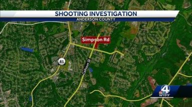 1 person injured in Upstate shooting, deputies say