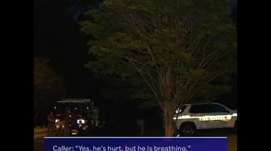 911 calls from Seneca plane crash that injured pilot released