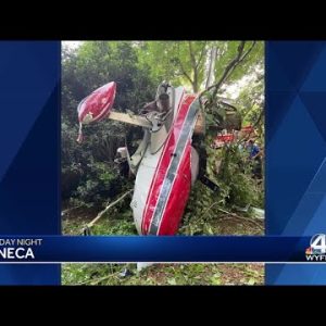 911 calls from Seneca plane crash that injured pilot released