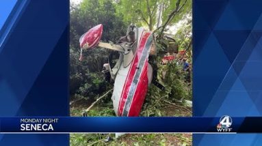 911 calls from Seneca plane crash that injured pilot released