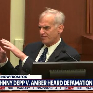 Johnny Depp trial: Amber Heard expert witness jokes that he talks too much | LiveNOW from FOX