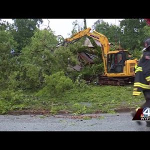 Woman killed, daughter injured after tree falls on Gaffney home during strong storms, official says