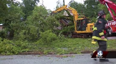 Woman killed, daughter injured after tree falls on Gaffney home during strong storms, official says