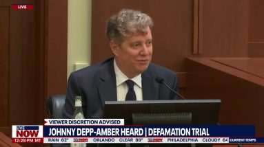 Johnny Depp lawyer challenges Amber Heard expert on negative comments | LiveNOW from FOX