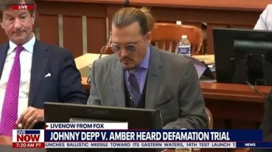 Trial shocker: Amber Heard abuse expert never met Johnny Depp | LiveNOW from FOX