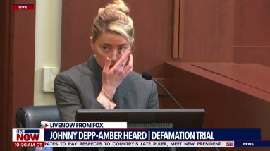 Amber Heard: Johnny Depp threw phone at my face, shows bruise photo | LiveNOW from FOX