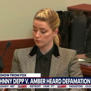 Amber Heard lawyer shreds new Johnny Depp witness for Elon Musk tweet, response to Depp supporter