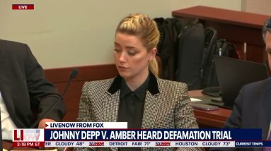 Amber Heard lawyer shreds new Johnny Depp witness for Elon Musk tweet, response to Depp supporter