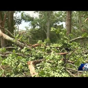NWS set to survey storm damage in the Upstate