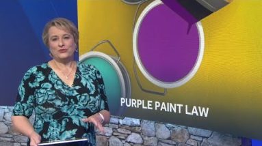 Purple paint on tree replaces no trespassing sign in South Carolina