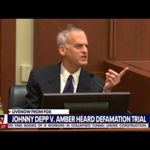 Amber Heard expert witness called Johnny Depp 'idiot' during deposition | LiveNOW from FOX
