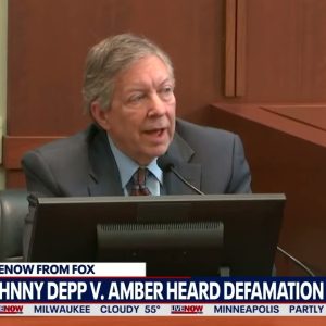 Johnny Depp witness: Amber Heard expert's testimony not anchored in facts | LiveNOW from FOX