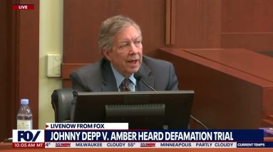 Johnny Depp witness: Amber Heard expert's testimony not anchored in facts | LiveNOW from FOX