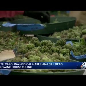 South Carolina's medical marijuana bill 'procedurally dead' at Statehouse, lawmakers say
