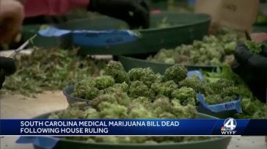 South Carolina's medical marijuana bill 'procedurally dead' at Statehouse, lawmakers say