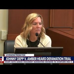 Johnny Depp trial: Amber Heard expert accused of ignoring evidence | LiveNOW from FOX