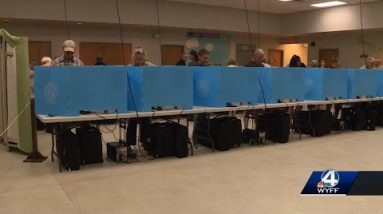 Voters head to the polls in Georgia for primary elections