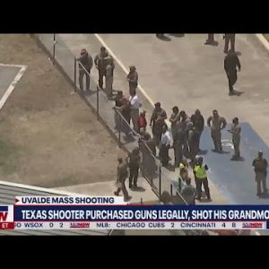 Texas school shooter purchased guns legally, shot grandmother: new details