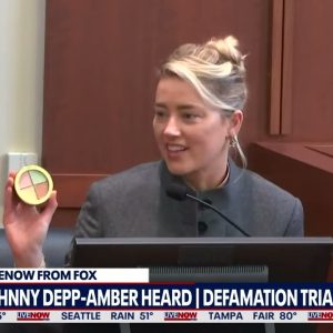 Johnny Depp trial: Amber Heard called makeup her 'bruise kit' | LiveNOW from FOX