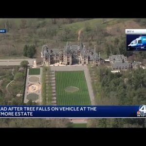 "A devastating tragedy": 1 dead after tree falls on vehicle at Biltmore Estate