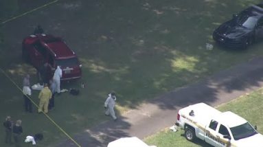 Bodies found in Greenville County house