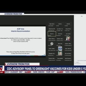 CDC panel approves 1st COVID-19 shots for US kids under 5