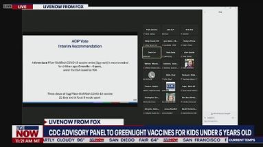CDC panel approves 1st COVID-19 shots for US kids under 5