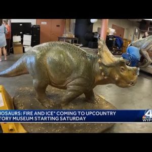 Dinosaurs: Fire & Ice coming to Upcountry History Museum