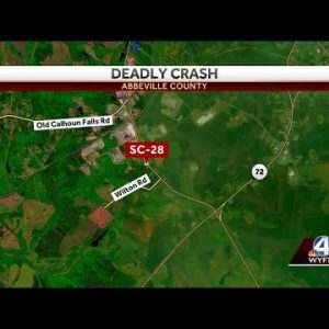 Driver killed in head-on collision, troopers say