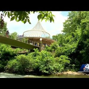 Greenville's Cancer Survivors Park turns grief into strength