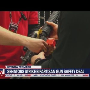 Gun control deal announced by bipartisan group of senators
