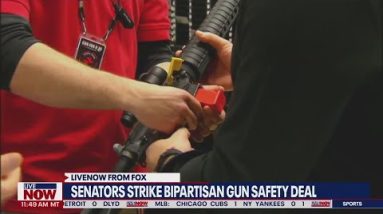 Gun control deal announced by bipartisan group of senators