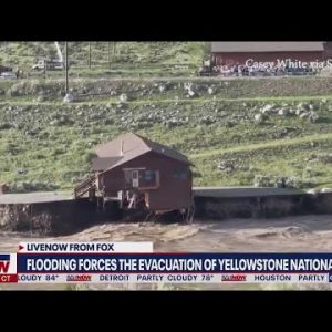 Yellowstone historic flooding: New details on the ground | LiveNOW from FOX