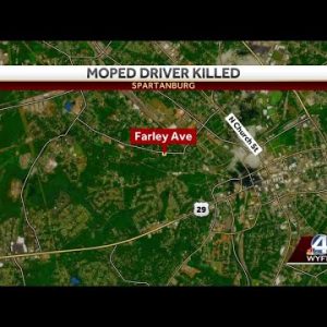 Moped driver dies after colliding with box truck, police say