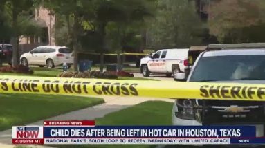 Houston 5-year-old left in hot car dies: New details on investigation | LiveNOW from FOX