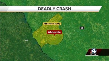 Pedestrian dies after being hit by two cars in Abbeville County, troopers say