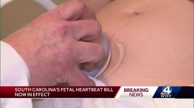 South Carolina's fetal heartbeat law now in effect, judge rules
