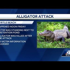 One person dead in Myrtle Beach after alligator pulls them into retention pond, officials say