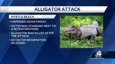 One person dead in Myrtle Beach after alligator pulls them into retention pond, officials say