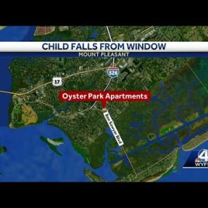 4-year-old dies after falling from apartment window in Mount Pleasant, police say