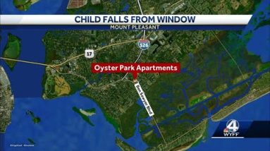 4-year-old dies after falling from apartment window in Mount Pleasant, police say