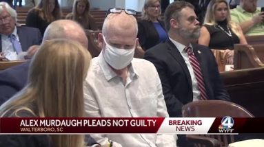 Alex Murdaugh enters not guilty plea